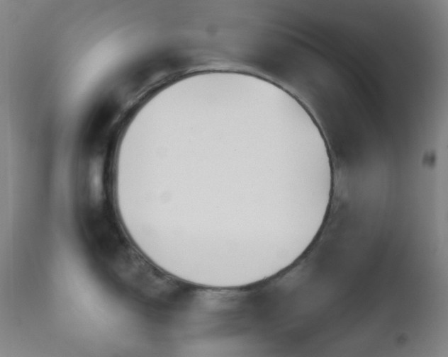 X0000110981150200906191358