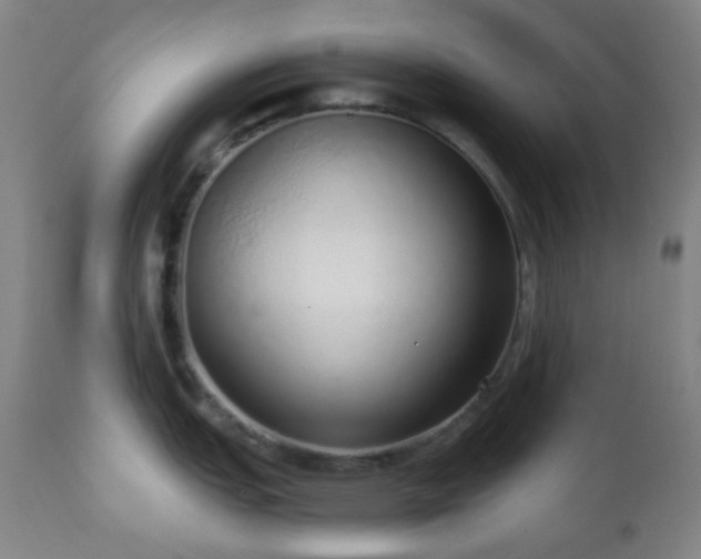 X0000110981151200906191358