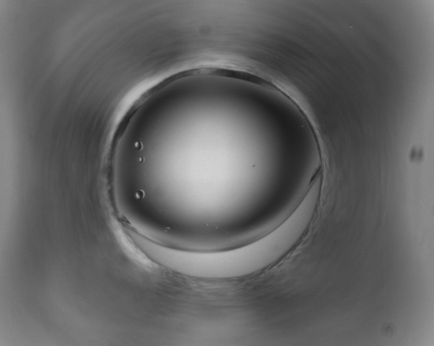 X0000110981152200906191358