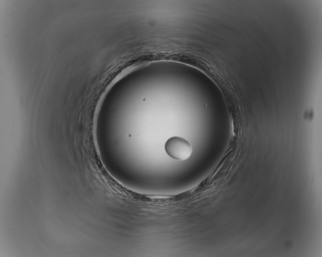 X0000110981153200906191357