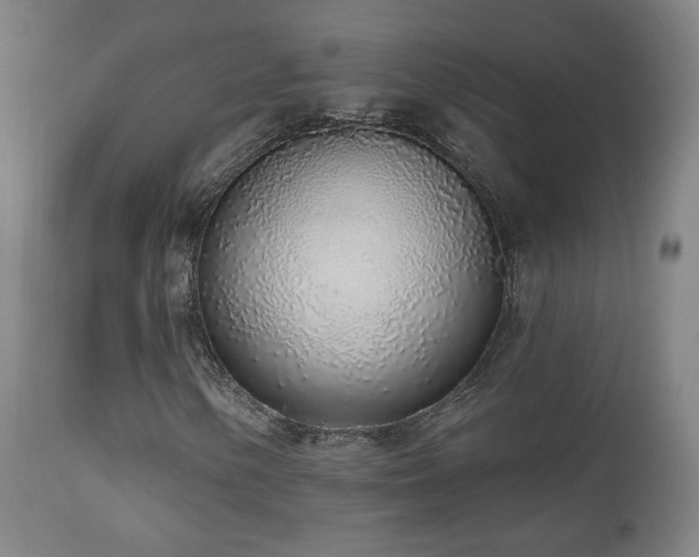 X0000110981154200906191357