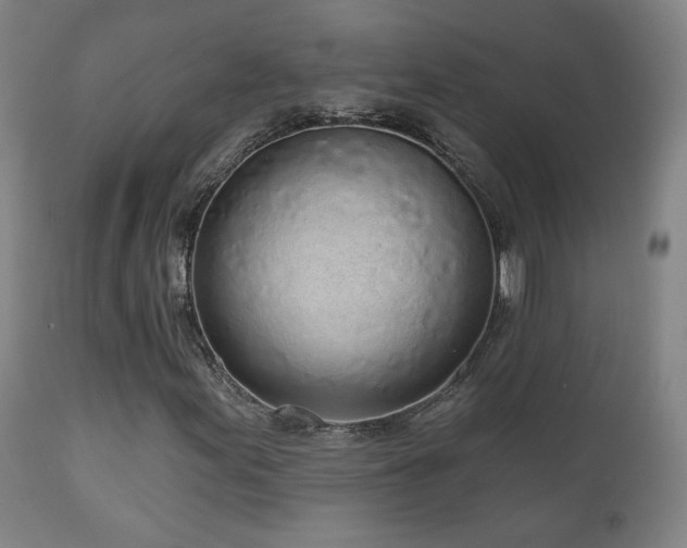 X0000110981155200906191357