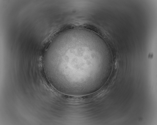 X0000110981156200906191357