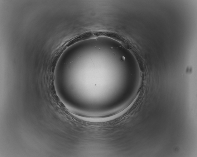 X0000110981157200906191357