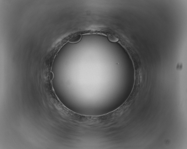 X0000110981158200906191357