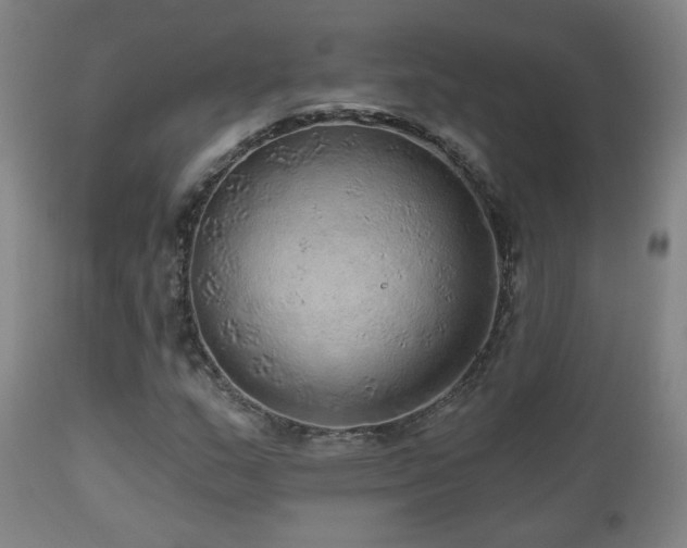 X0000110981159200906191357