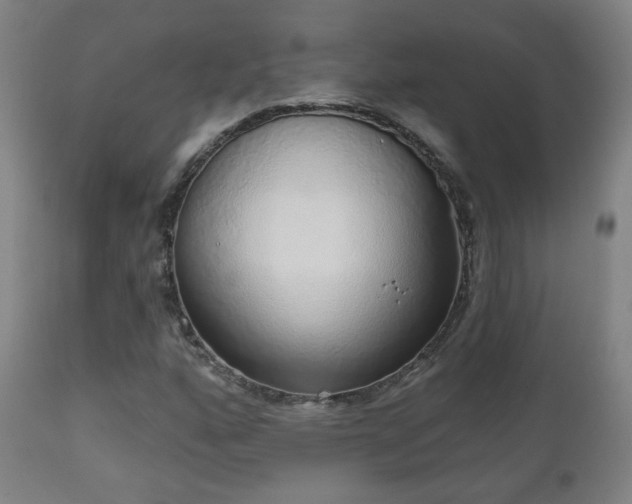 X0000110981160200906191357