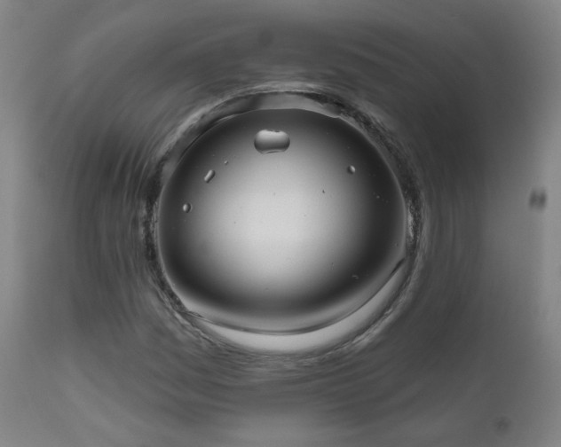 X0000110981161200906191357