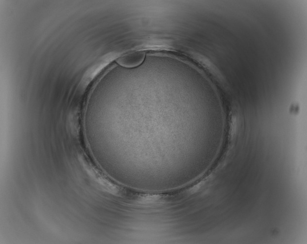 X0000110981162200906191357