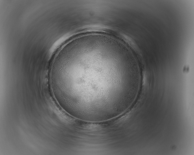 X0000110981164200906191357