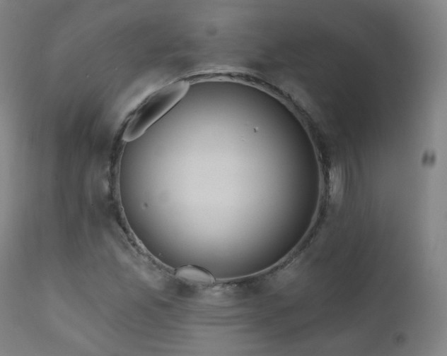 X0000110981165200906191357