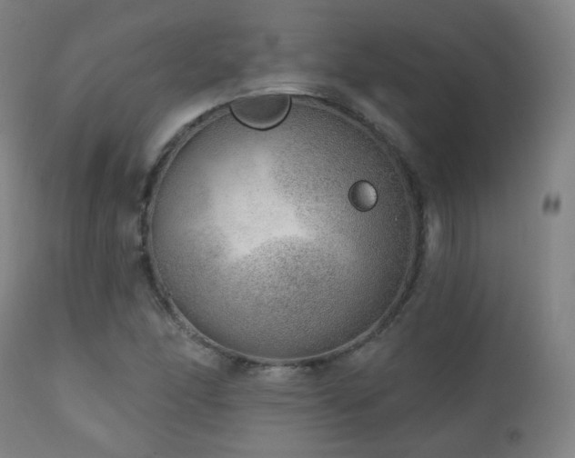 X0000110981166200906191357