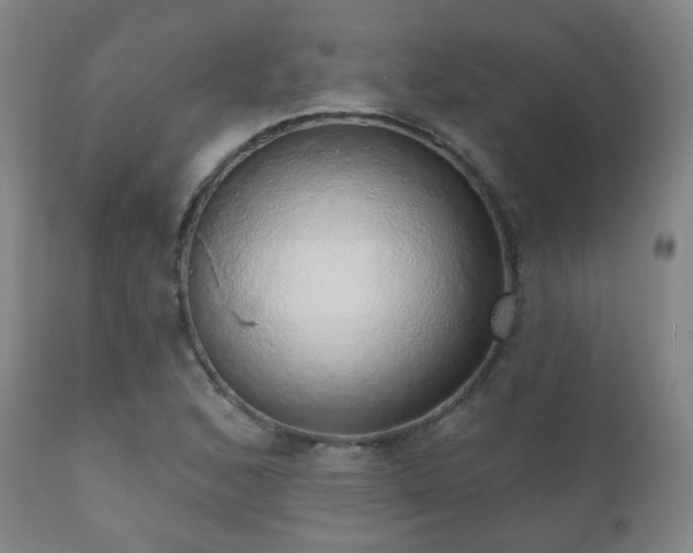 X0000110981168200906191357