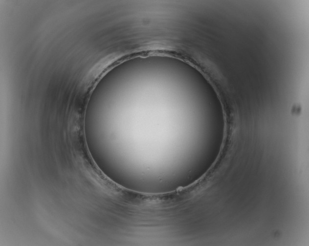 X0000110981169200906191357