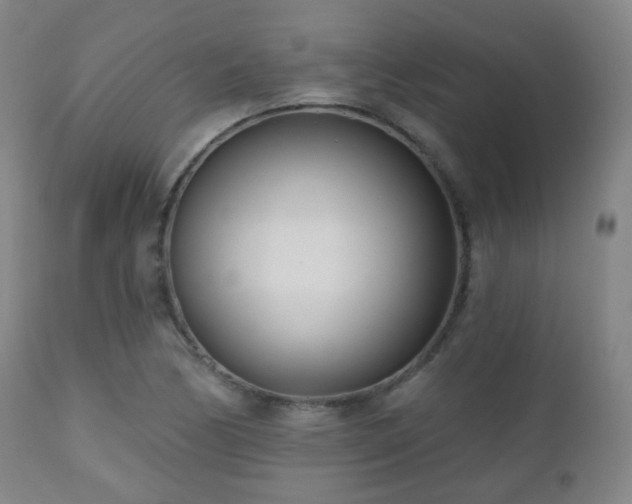 X0000110981170200906191357