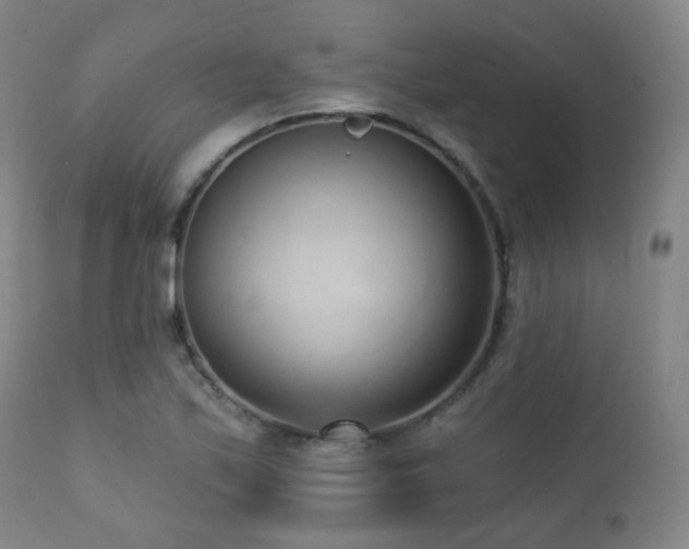 X0000110981171200906191357