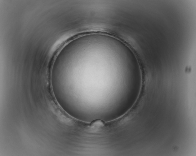 X0000110981172200906191357