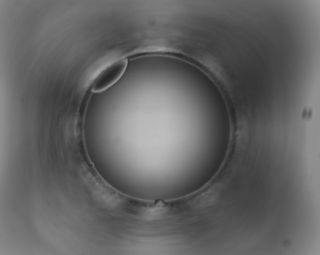 X0000110981173200906191357