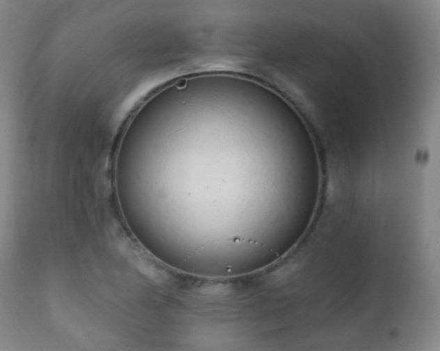 X0000110981174200906191357