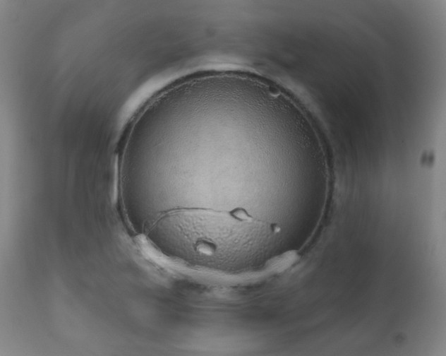 X0000110981175200906191357