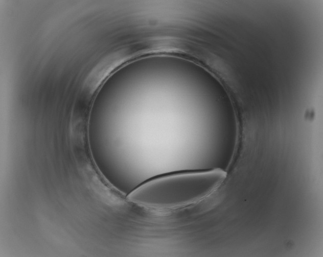 X0000110981177200906191357