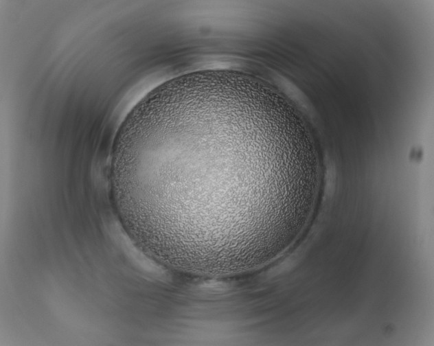 X0000110981178200906191357