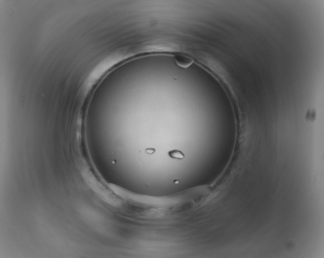 X0000110981179200906191357