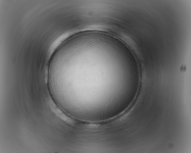 X0000110981180200906191357