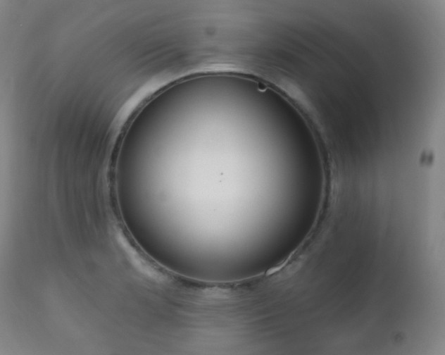 X0000110981181200906191357