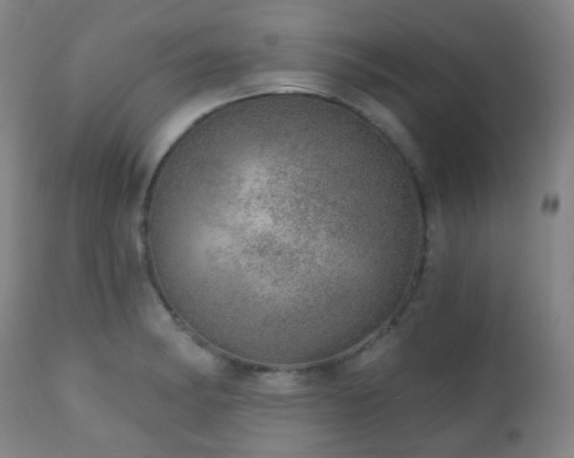 X0000110981182200906191357