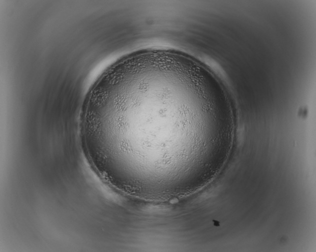 X0000110981183200906191357