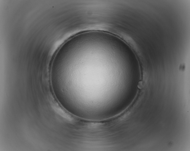 X0000110981184200906191357