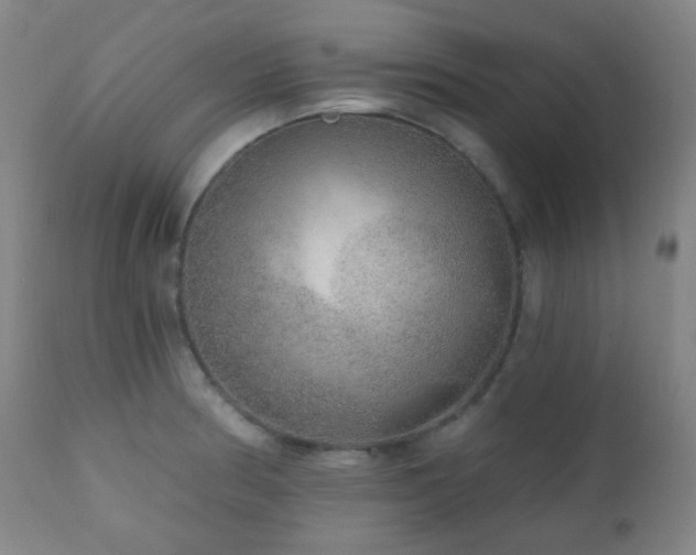 X0000110981186200906191357