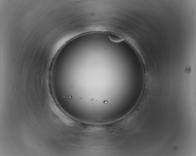 X0000110981187200906191357