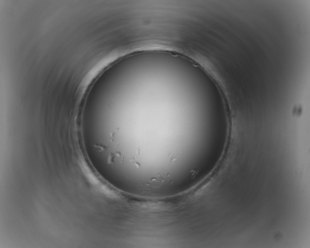 X0000110981189200906191357