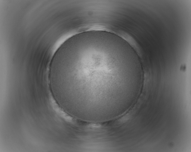 X0000110981190200906191357