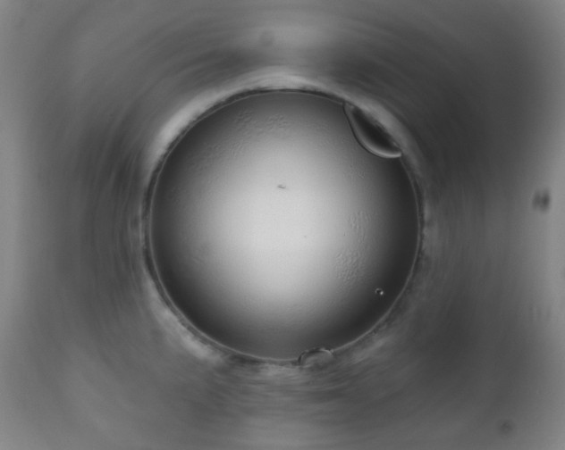 X0000110981191200906191357