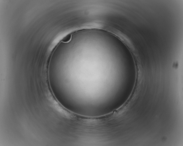 X0000110981192200906191357