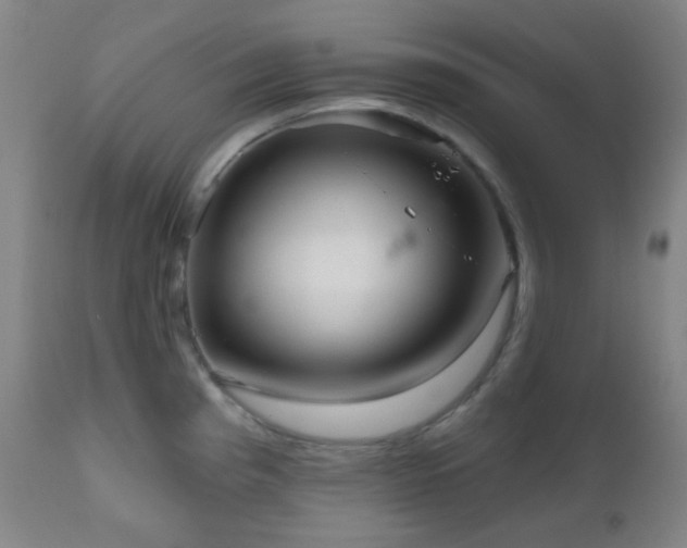 X0000110981193200906191357