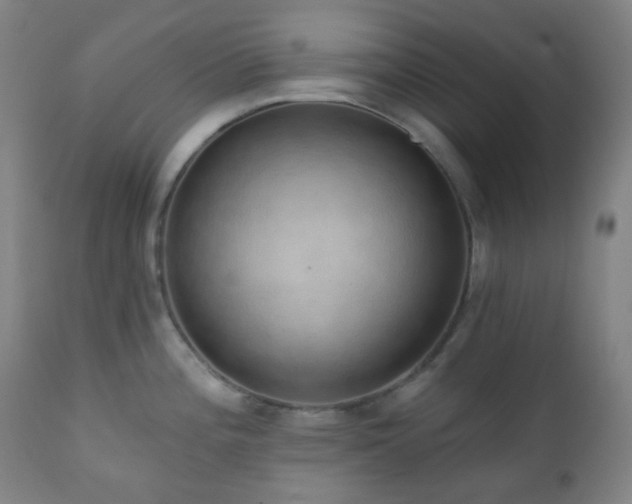 X0000110981196200906191357