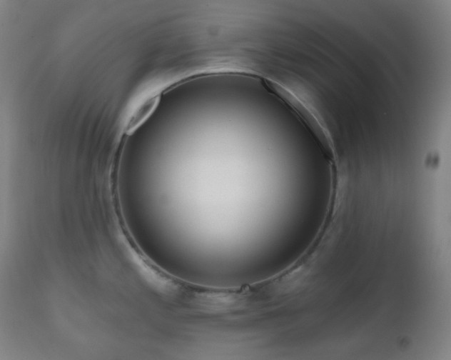 X0000110981197200906191357