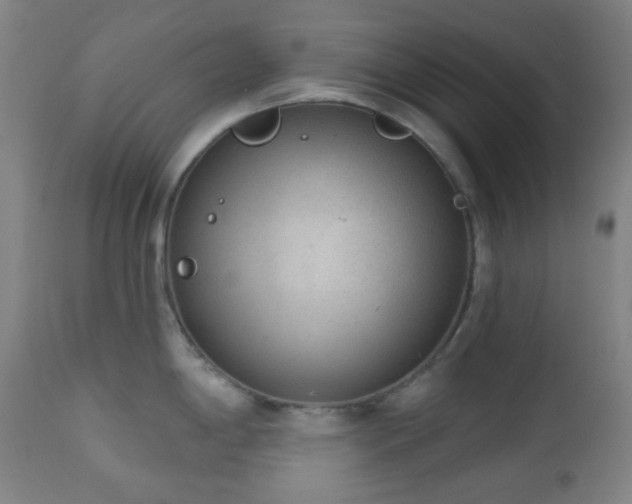 X0000110981198200906191357