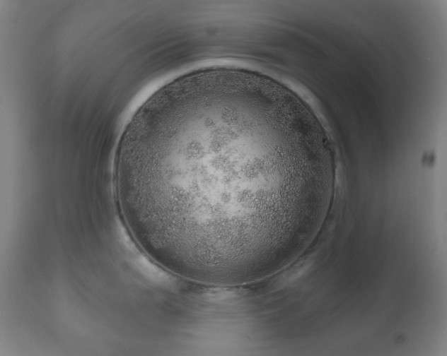 X0000110981199200906191357