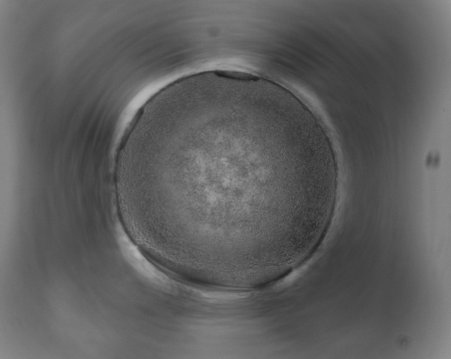 X0000110981200200906191357