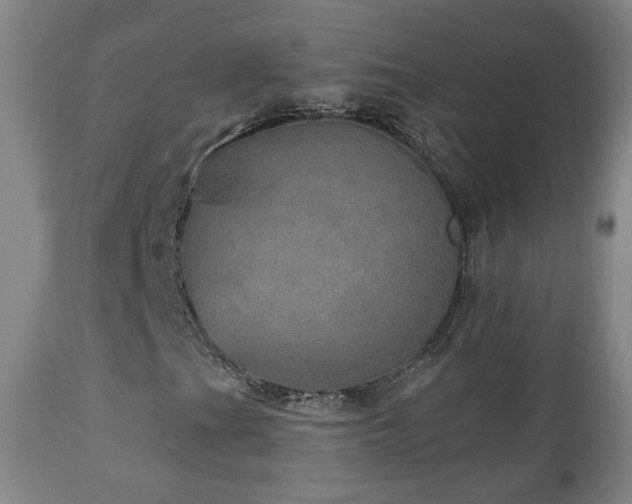 X0000110981201200906191356