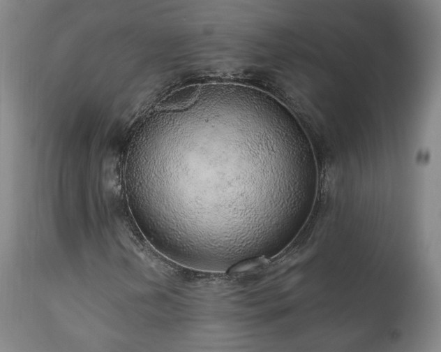 X0000110981202200906191356