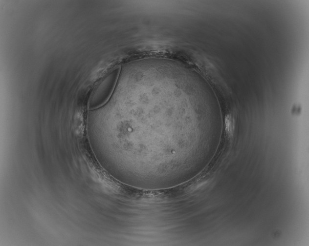 X0000110981203200906191356