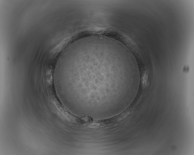 X0000110981204200906191356