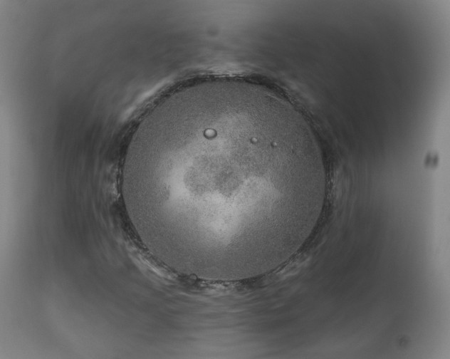 X0000110981205200906191356