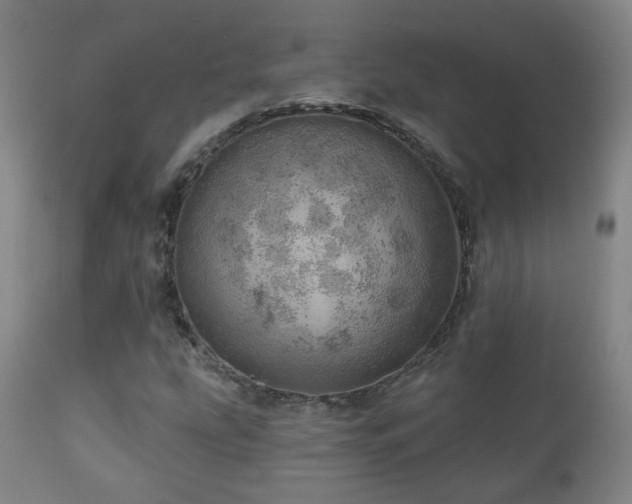 X0000110981207200906191356